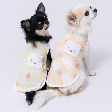 セール ミッフィー クールタンクトップ クール 犬 いぬ 犬服 男の子 女の子 おしゃれ ピーナッツ MIFFY miffy